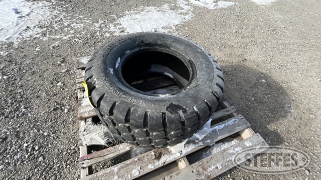 31x13.50-15 Tire